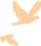 1740967354479740.png 9.png